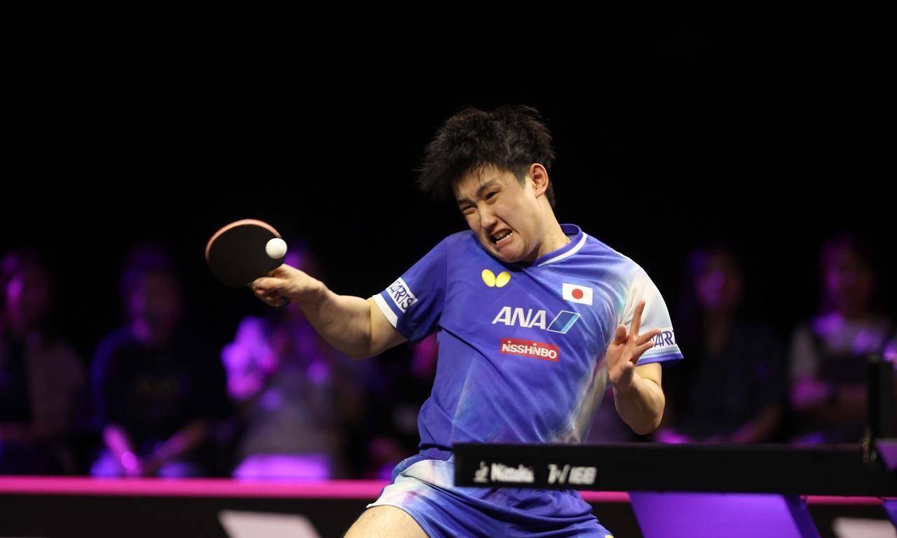 瑞典队完胜英格兰队,张本智和扛起全队的简单介绍 瑞典队完胜英格兰队,张本智和扛起全队的简单介绍