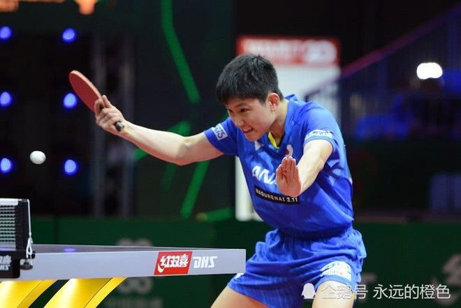 瑞典队碾压波兰队,张本智和点燃赛场 瑞典队碾压波兰队,张本智和点燃赛场