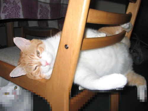 量子哨音，当篮球巨星踏入足球圣殿—记2026世界杯决赛夜与卡瓦伊·伦纳德的生涯之夜