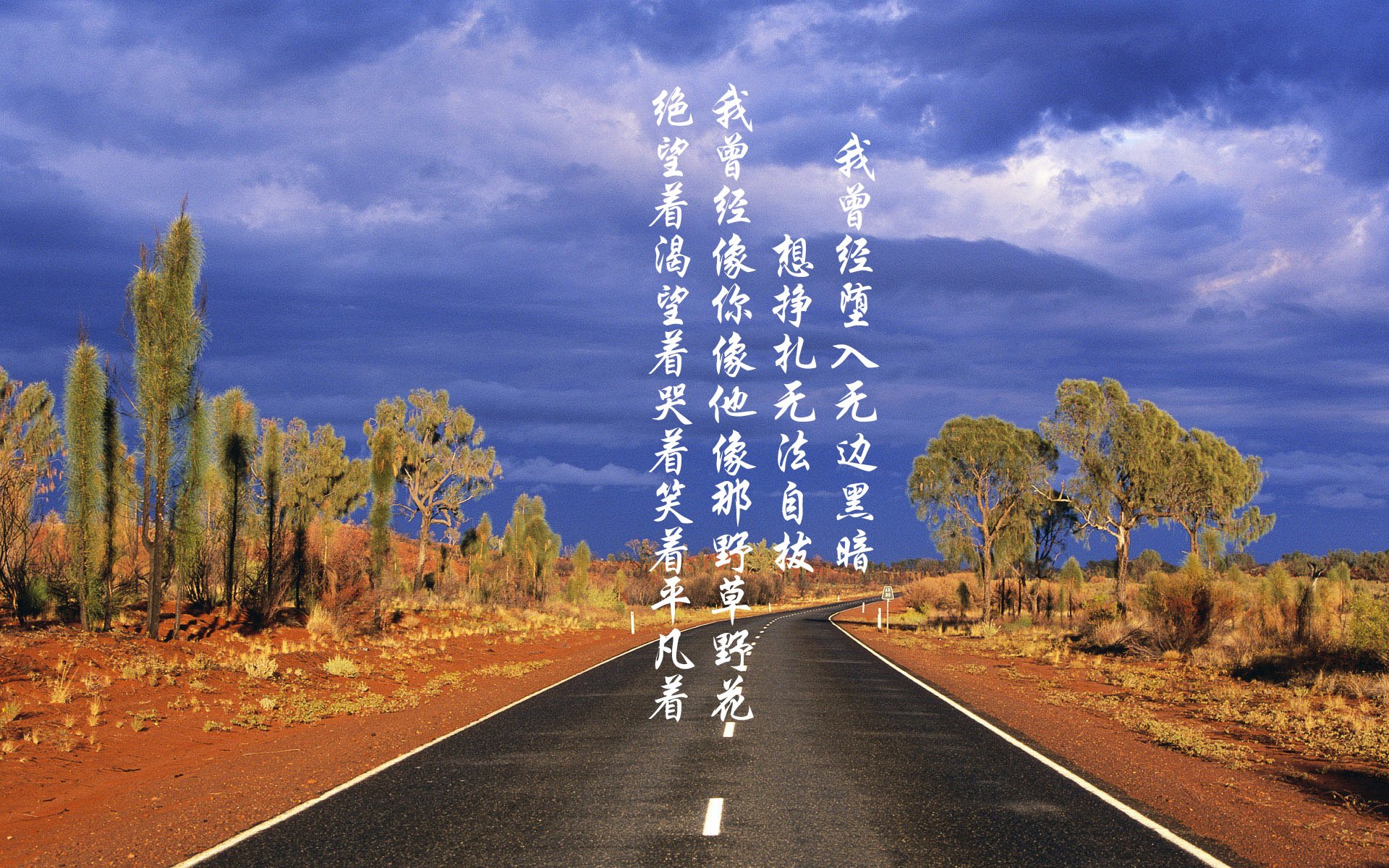 红白征服者,2026世界杯史诗之夜—奥地利踏平几内亚,马丁内利接管比赛