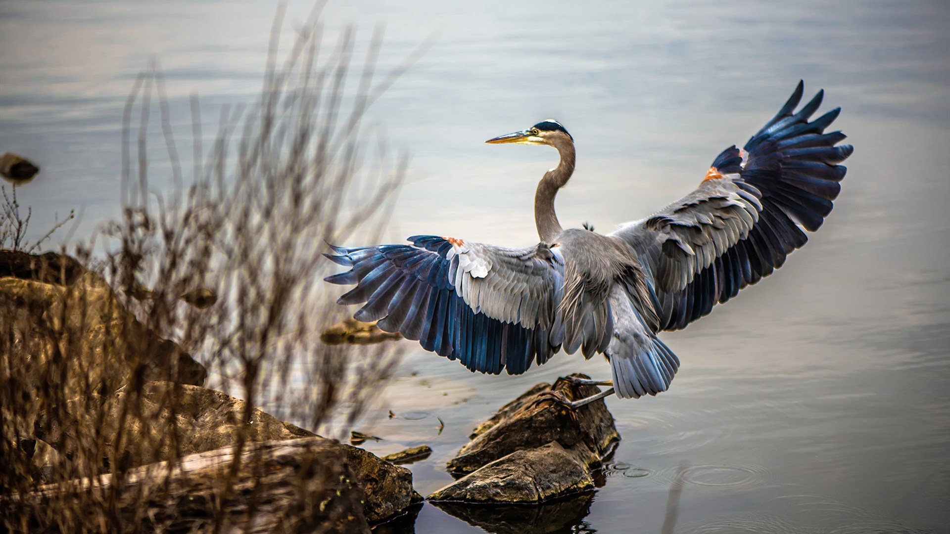 东部决赛,法国一波流带走奥地利,绿茵场上的绝杀艺术