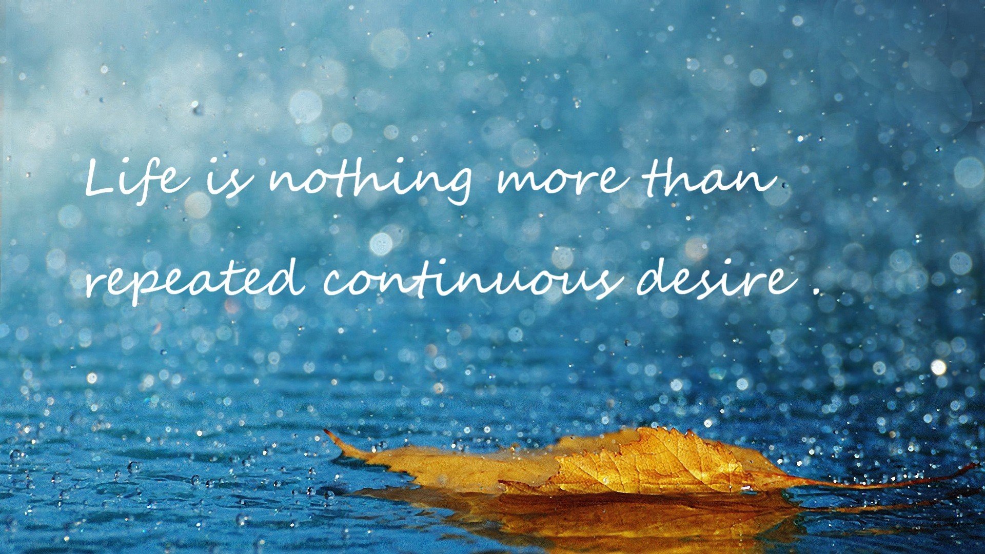 文班亚马次节15分点燃高潮,湖人一波流带走爵士,法国新星化身关键先生