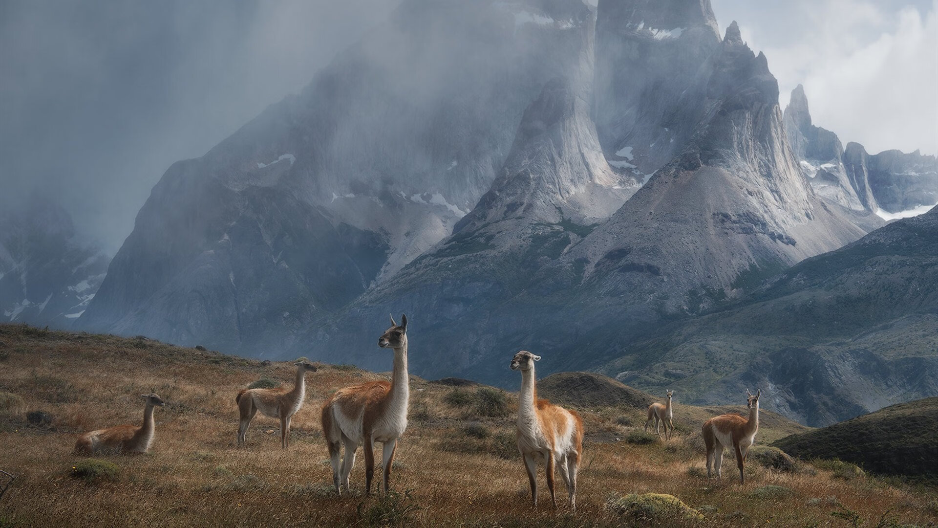 火炬之夜,小贾伦在奥运关键战的节奏魔法