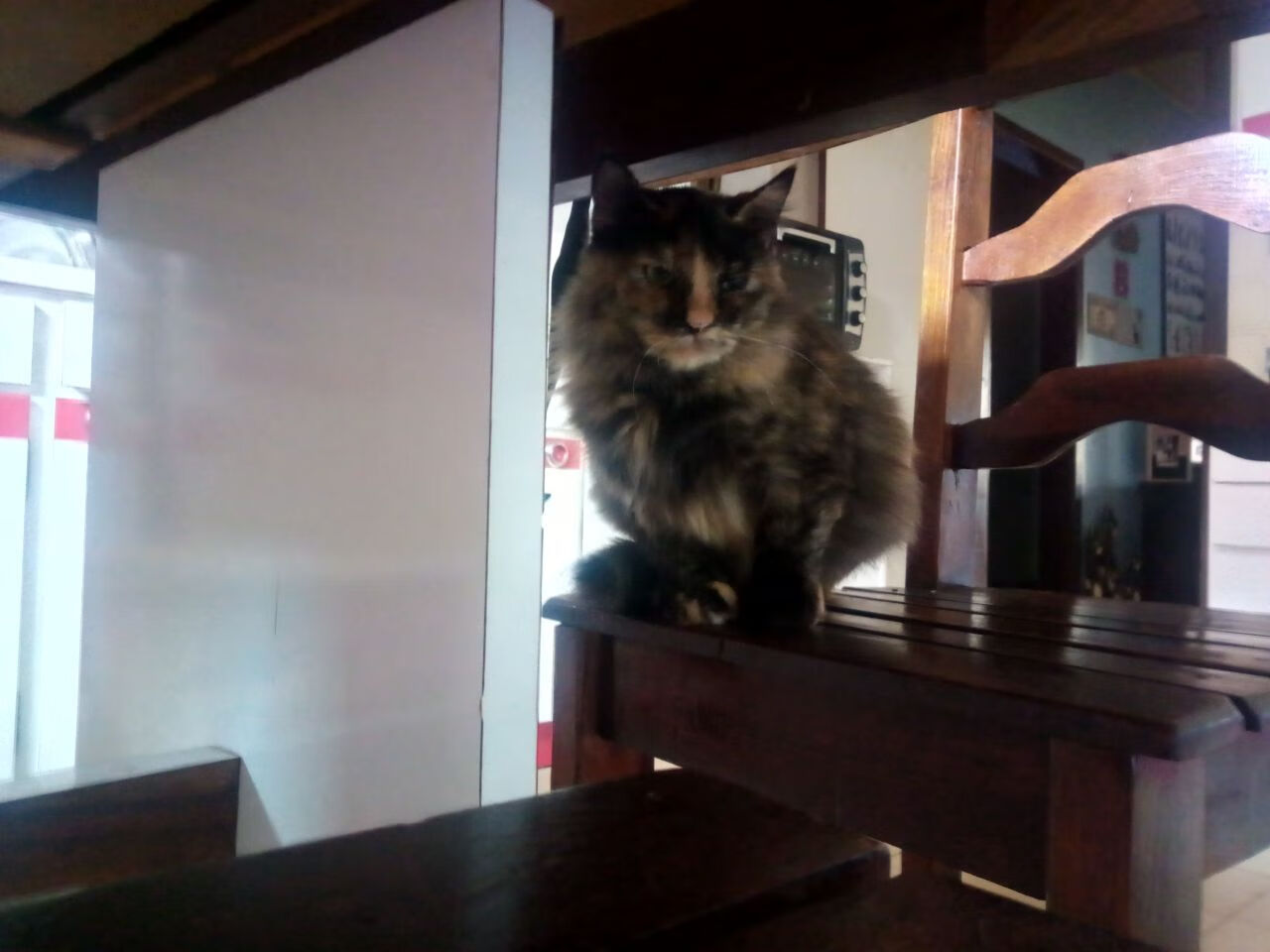 奥运前哨战,恩比德接管关键战役,奇才轻取尼克斯