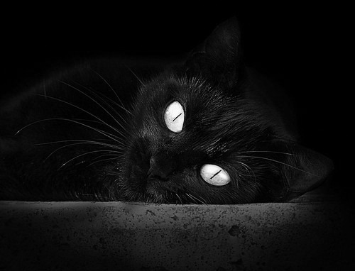 东方库尔图瓦横空出世！生死战扑点封神，丹麦险胜中国却致敬门将