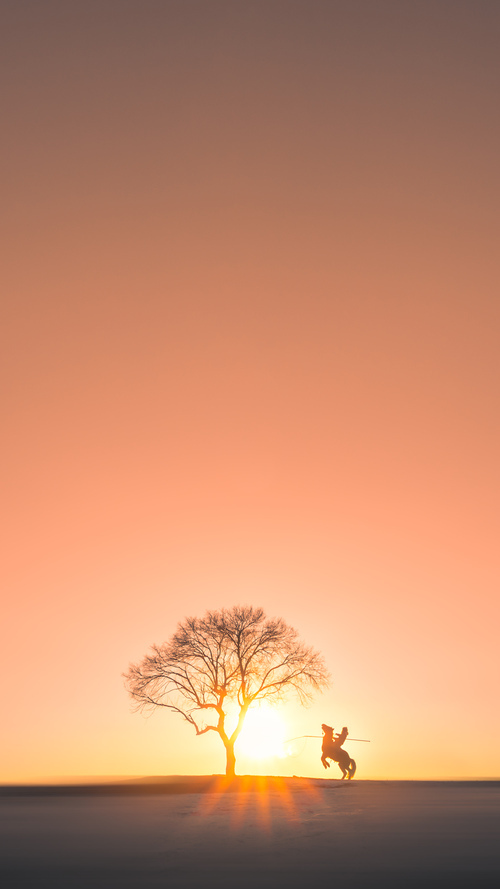 从球场到全球舞台，当NBA季后赛的带走哲学遇上挪威的气候客场胜利