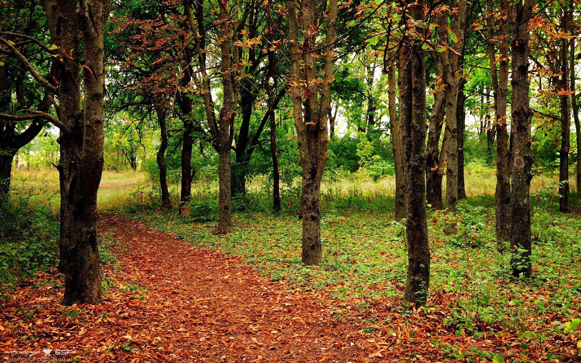 跨界掌控力,从篮球铁索到街道闪电