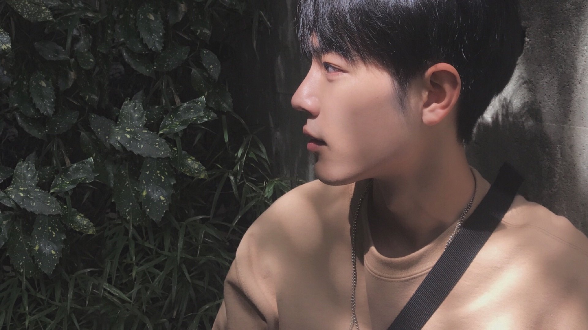 从威尔士山谷到NBA巅峰，竞技血性如何跨越时空定义伟大