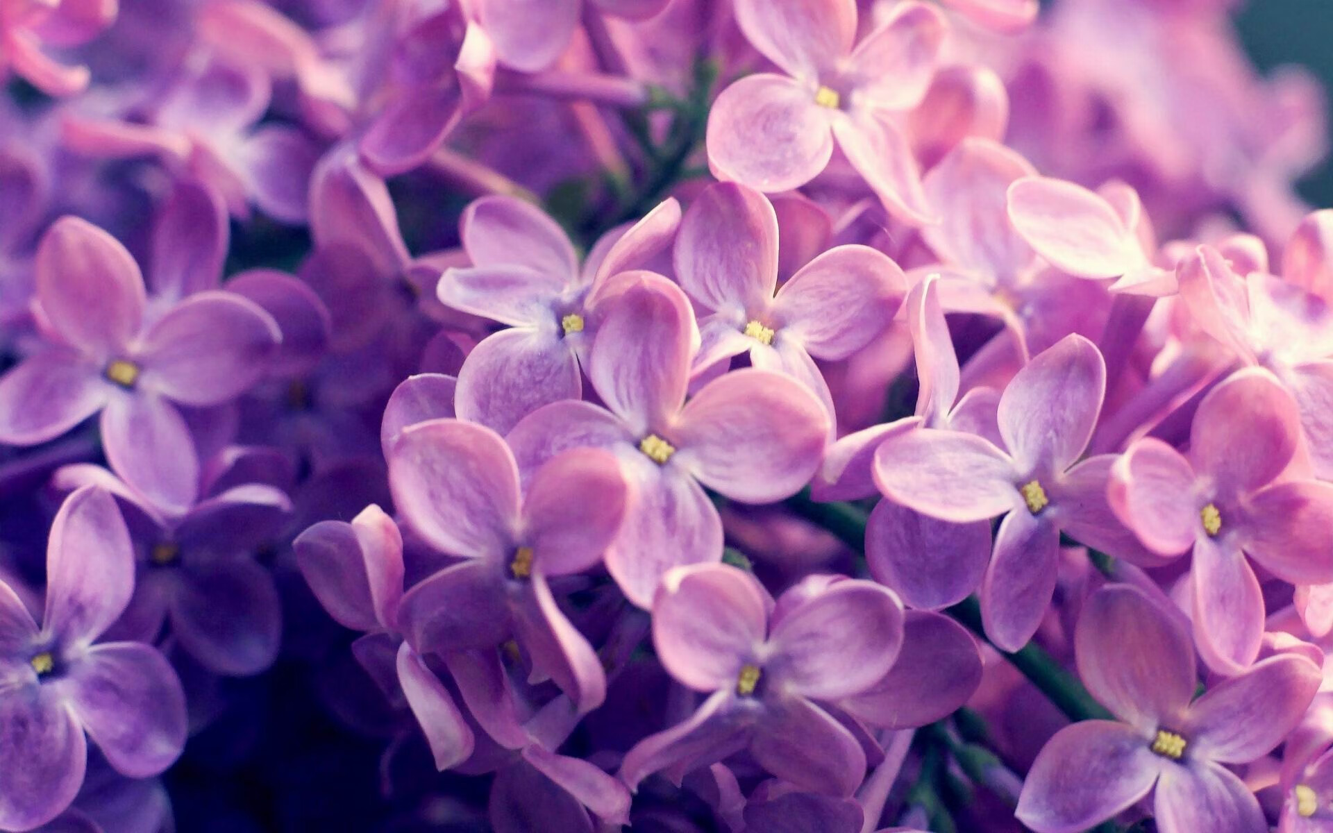 当手术刀切开重甲，比利亚雷亚尔的精密传控如何让苏格兰式冲击足球失效，卢卡库从演砸到救赎的戏剧性一夜