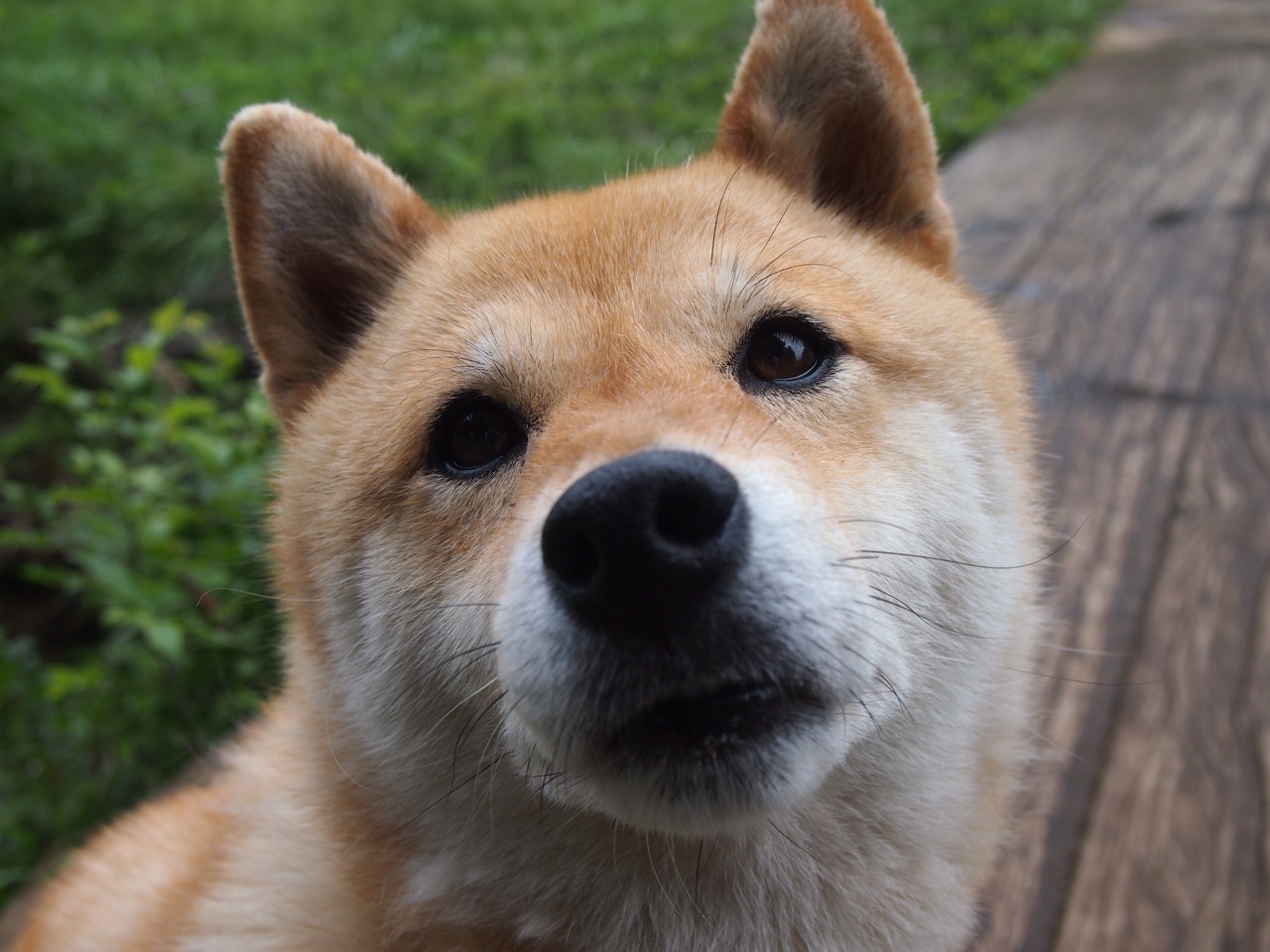 戈贝尔用最古典的篮筐守护,映照老鹰最现代的一场颠覆