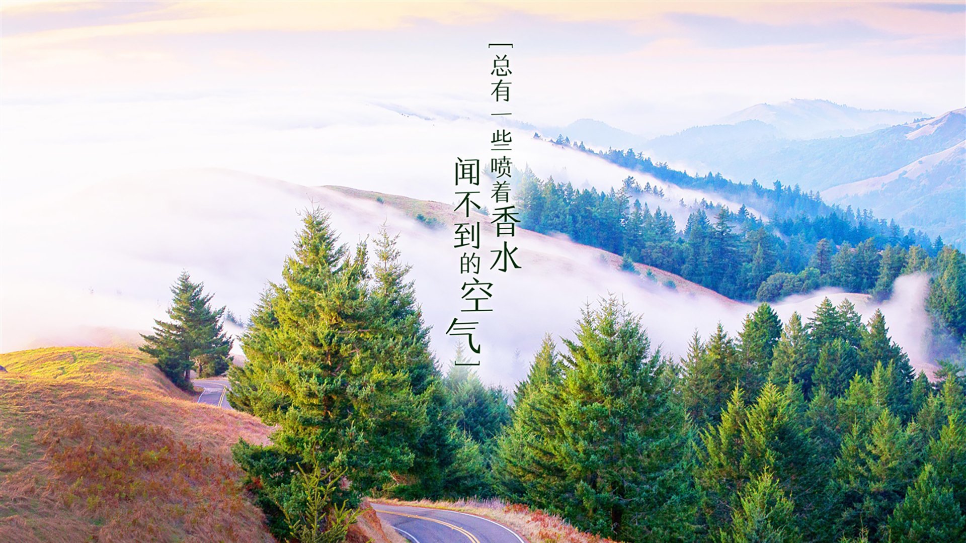 跨界王者，从火箭横扫活塞到世界杯接管，保罗的双重领导力