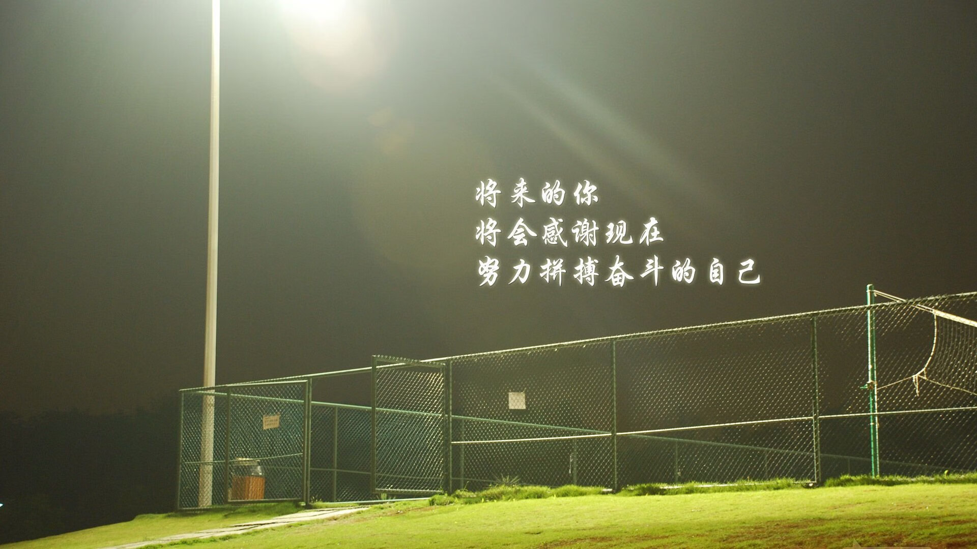 致命一戟刺穿袋鼠军团,范戴克绝杀夜,葡萄牙王者之气席卷2026世界杯D组