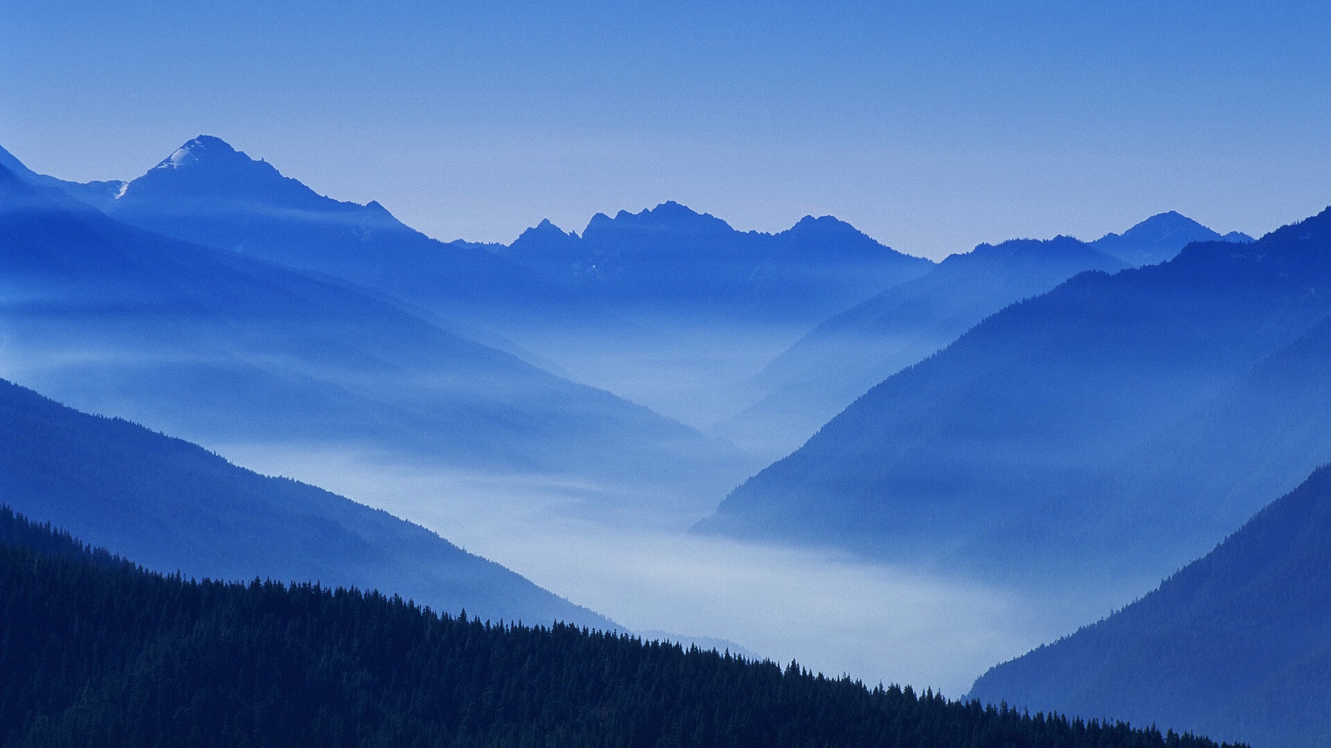 维也纳的冰与火之歌，2026世界杯G组唯一剧本，阿方索·戴维斯用铁血防线书写冷血逆转