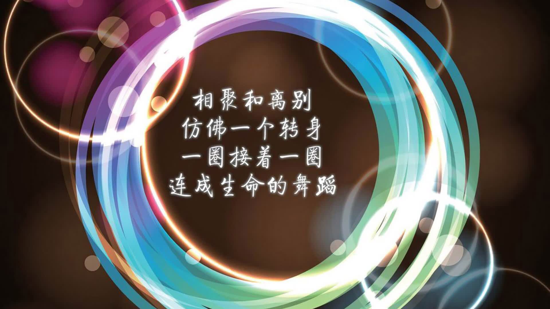 冷雨夜的东方奇迹,当绝杀成为泰国的母语,努涅斯的铁血令秘鲁梦碎2026