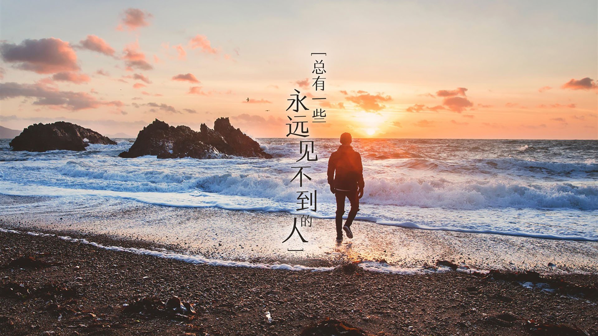 唯1之战,2026世界杯H组生死局,高卢雄鸡险胜太极虎,哈兰德用神之一击定义王者唯一