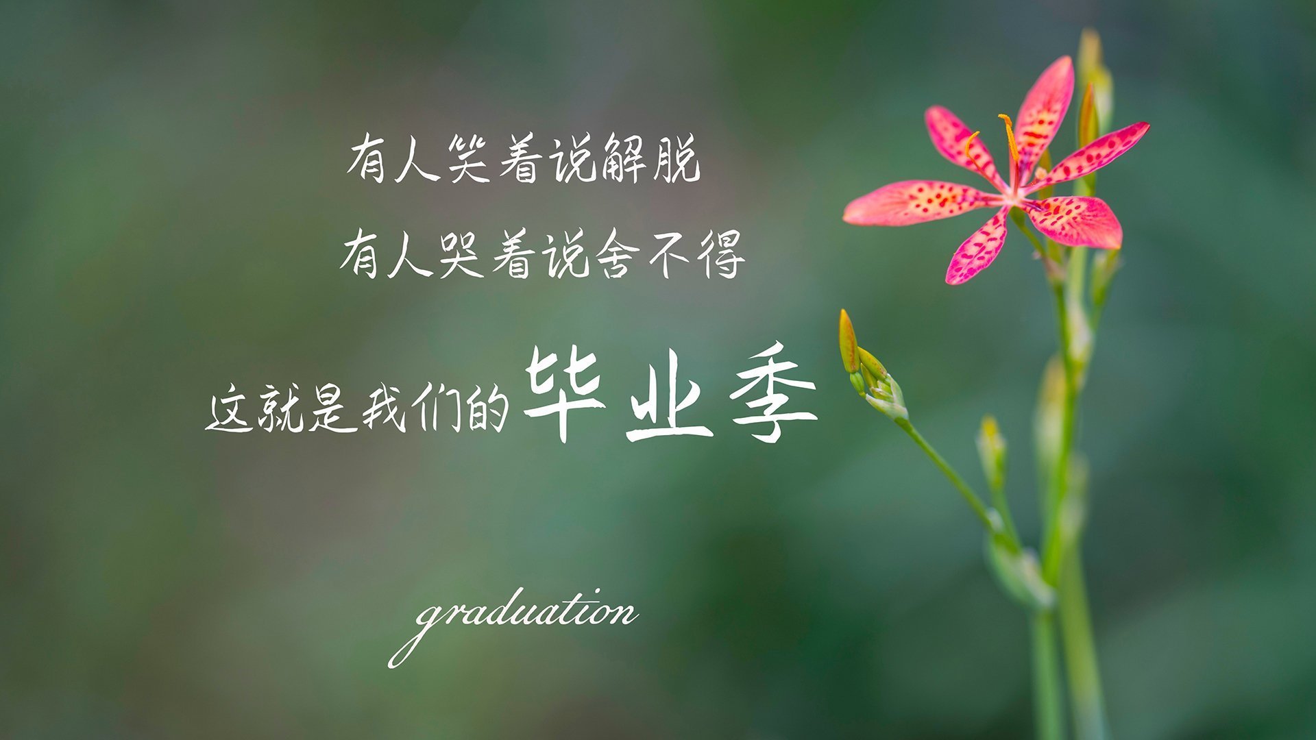 首先，为您推荐一个更具张力与悬念感的文章标题